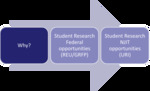Research Experiences for Undergraduates at NJIT & NSF