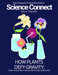 How Plants Defy Gravity by Olivia Y. Kim, Agatha Shaikhutdinova, Joshua Lee, Reece Sit, Daniel Yang, Aliyah Shams, Kathryn Choi, and Esther Yoo